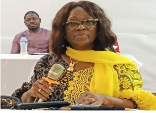 NEC Assures 2029 Preparedness – Liberia news The New Dawn Liberia, premier resource for latest news